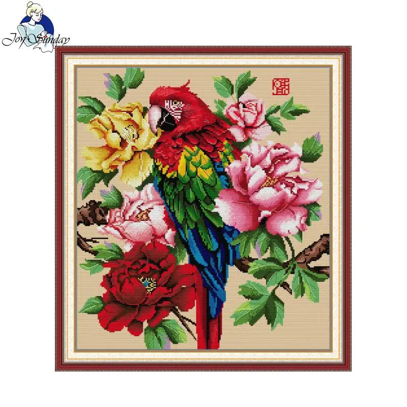 Vreugde Zondag Mooie Papegaai  - Embroidery Meaning recensie en prijs