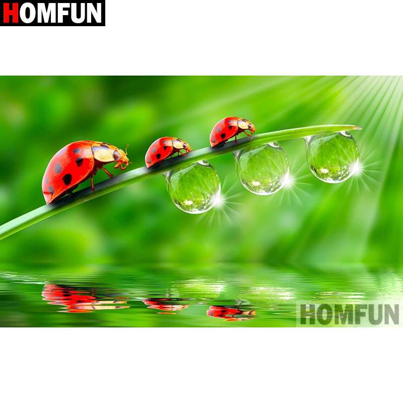 Homfun Art 5D Diy Diamant Schi - Embroidery Lady Bug recensie en prijs